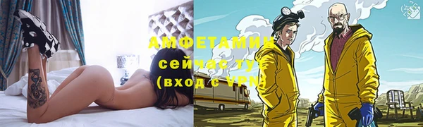 гашик Дмитров