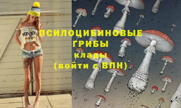 метадон Михайловка