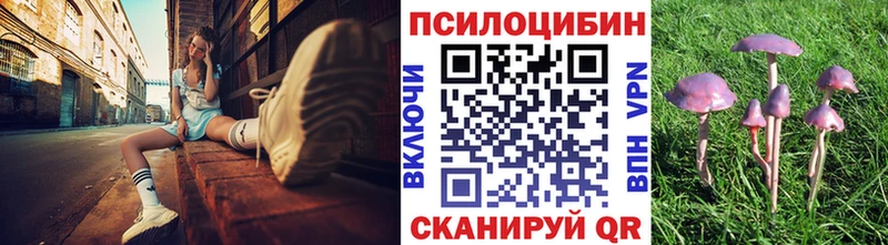 Псилоцибиновые грибы Psilocybine cubensis  Данилов 